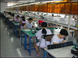 中山市三鄉(xiāng)鎮(zhèn)萊富安電子廠